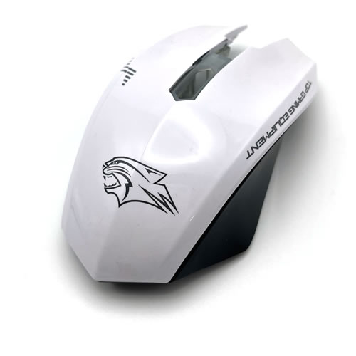 �C���D��